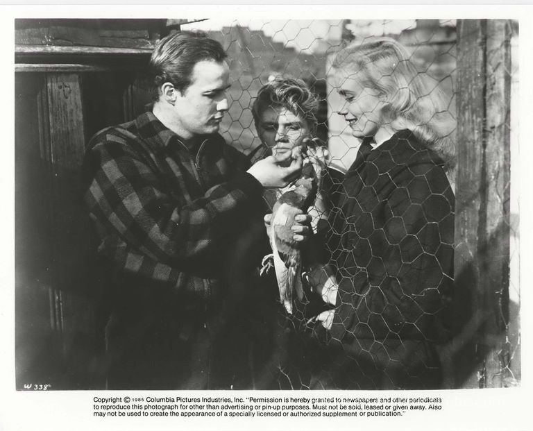 B+W publicity photo of Tom Hanley as Tommy, Marlon Brando, Eva Marie Saint in film 