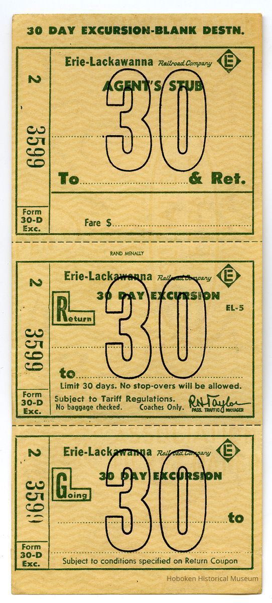 ticket: 30 day excursion - blank destination