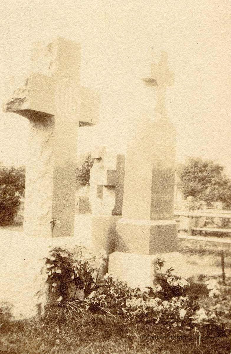 cropped to image, enhanced