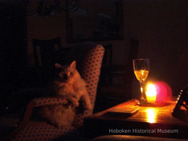 candle lit interior with cat on chair