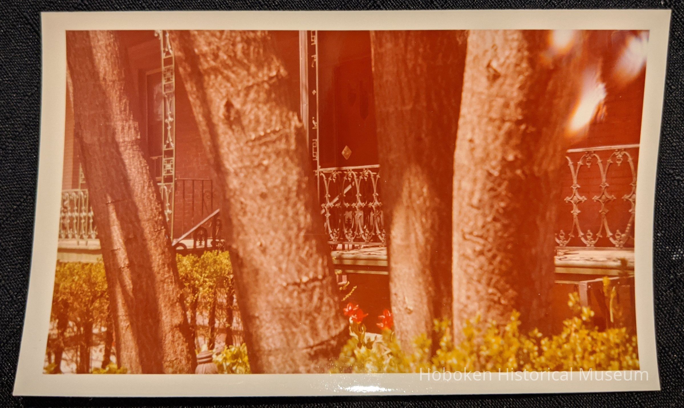 Front yard of 64 10th Street Hokoken.