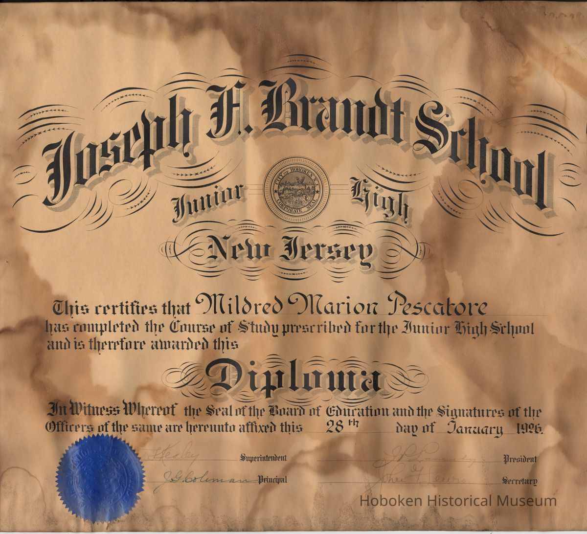 diploma