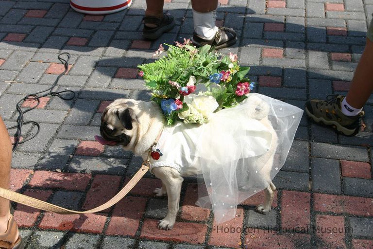 Digital color image of the 2004 Hoboken Pet Parade, along the Hoboken Waterfront, Sunday, September 26, 2004. picture number 1