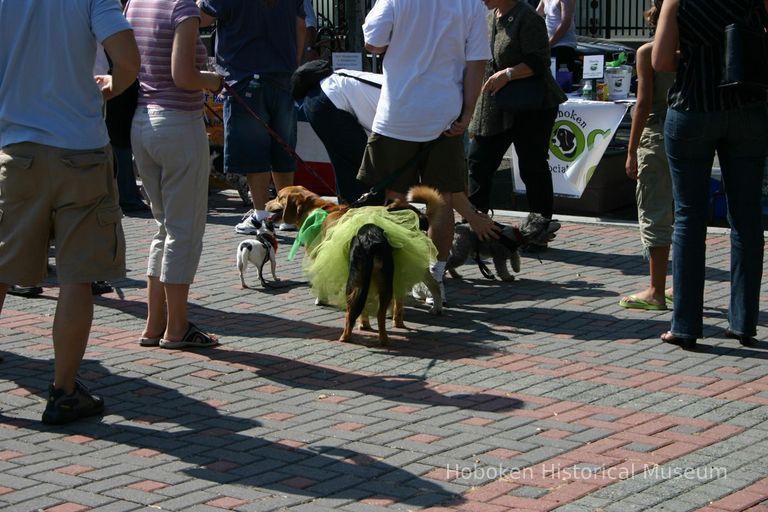 Digital color image of the 2004 Hoboken Pet Parade, along the Hoboken Waterfront, Sunday, September 26, 2004. picture number 1