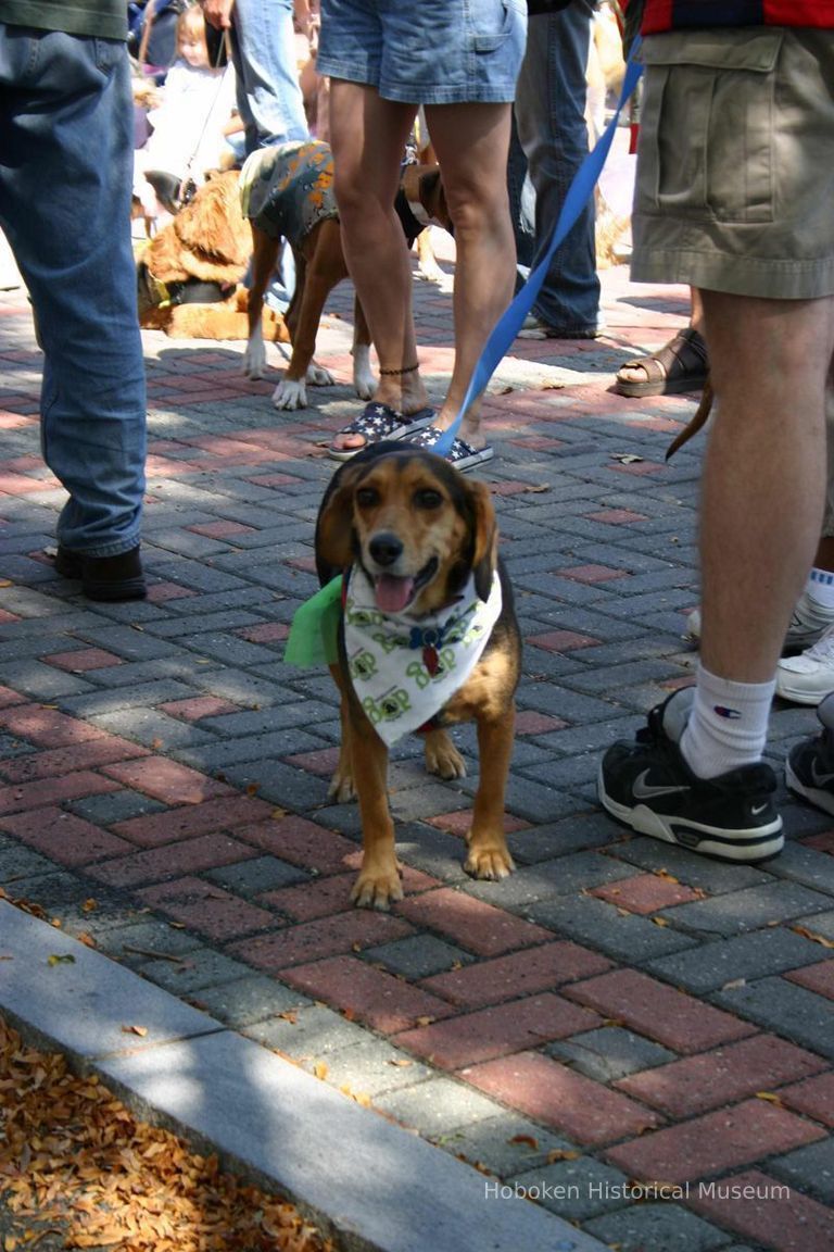 Digital color image of the 2004 Hoboken Pet Parade, along the Hoboken Waterfront, Sunday, September 26, 2004. picture number 1