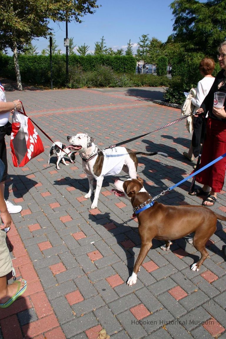 Digital color image of the 2004 Hoboken Pet Parade, along the Hoboken Waterfront, Sunday, September 26, 2004. picture number 1