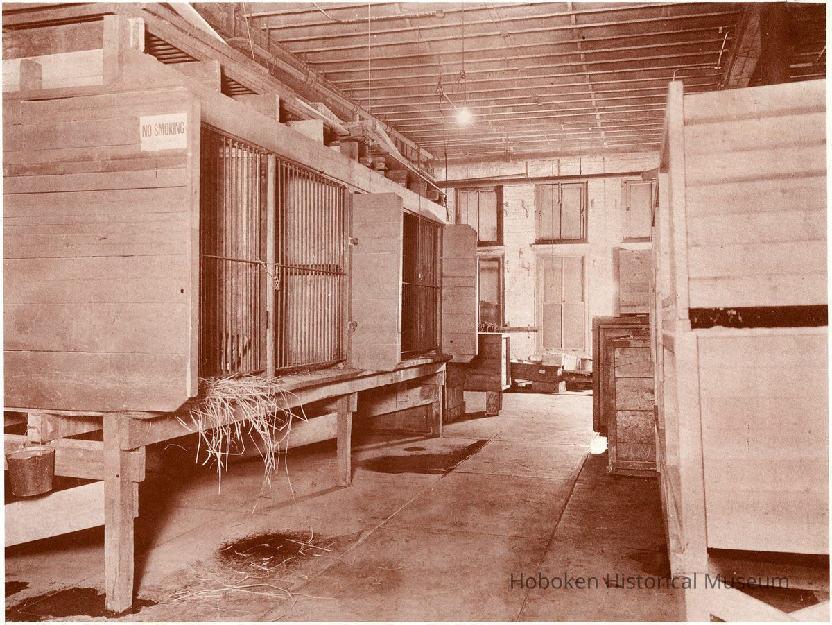 animal cages/stalls: John K. Benson / Hagenbeck, 307 Newark St.