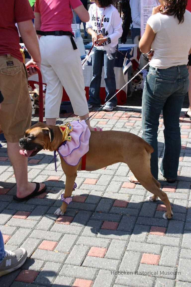 Digital color image of the 2004 Hoboken Pet Parade, along the Hoboken Waterfront, Sunday, September 26, 2004. picture number 1