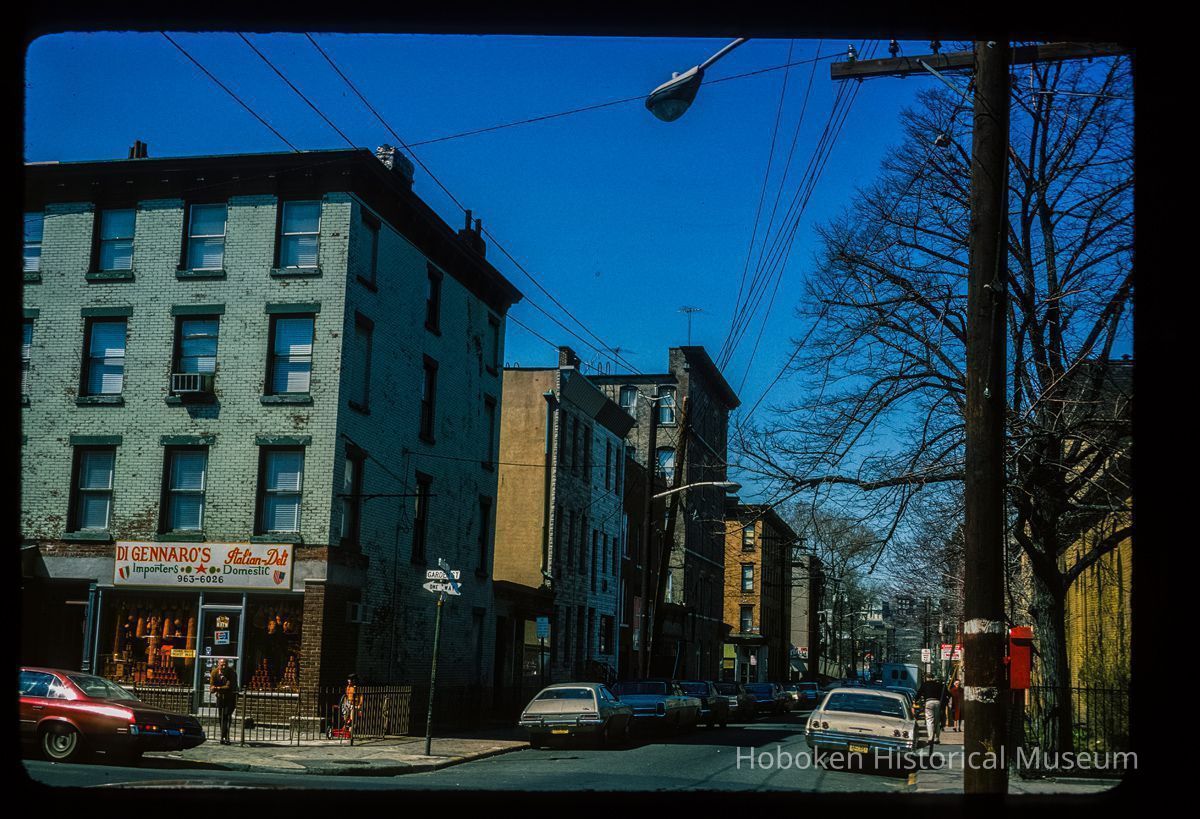 Color slide of eye-level view of row houses on the S side of 6th looking W from the NE corner with Garden picture number 1