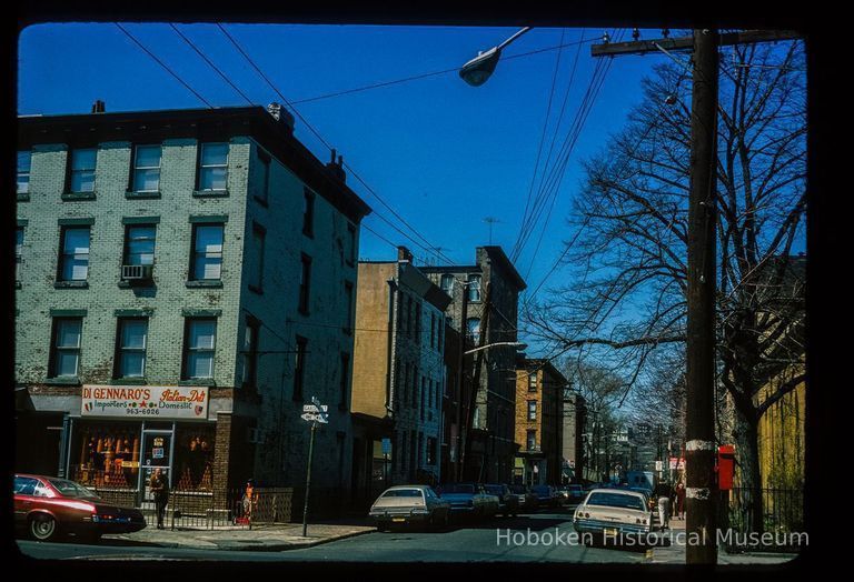 Color slide of eye-level view of row houses on the S side of 6th looking W from the NE corner with Garden picture number 1