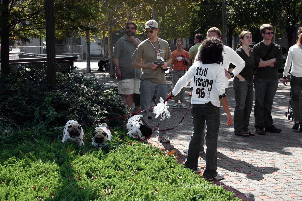 Digital color image of the 2004 Hoboken Pet Parade, along the Hoboken Waterfront, Sunday, September 26, 2004. picture number 1