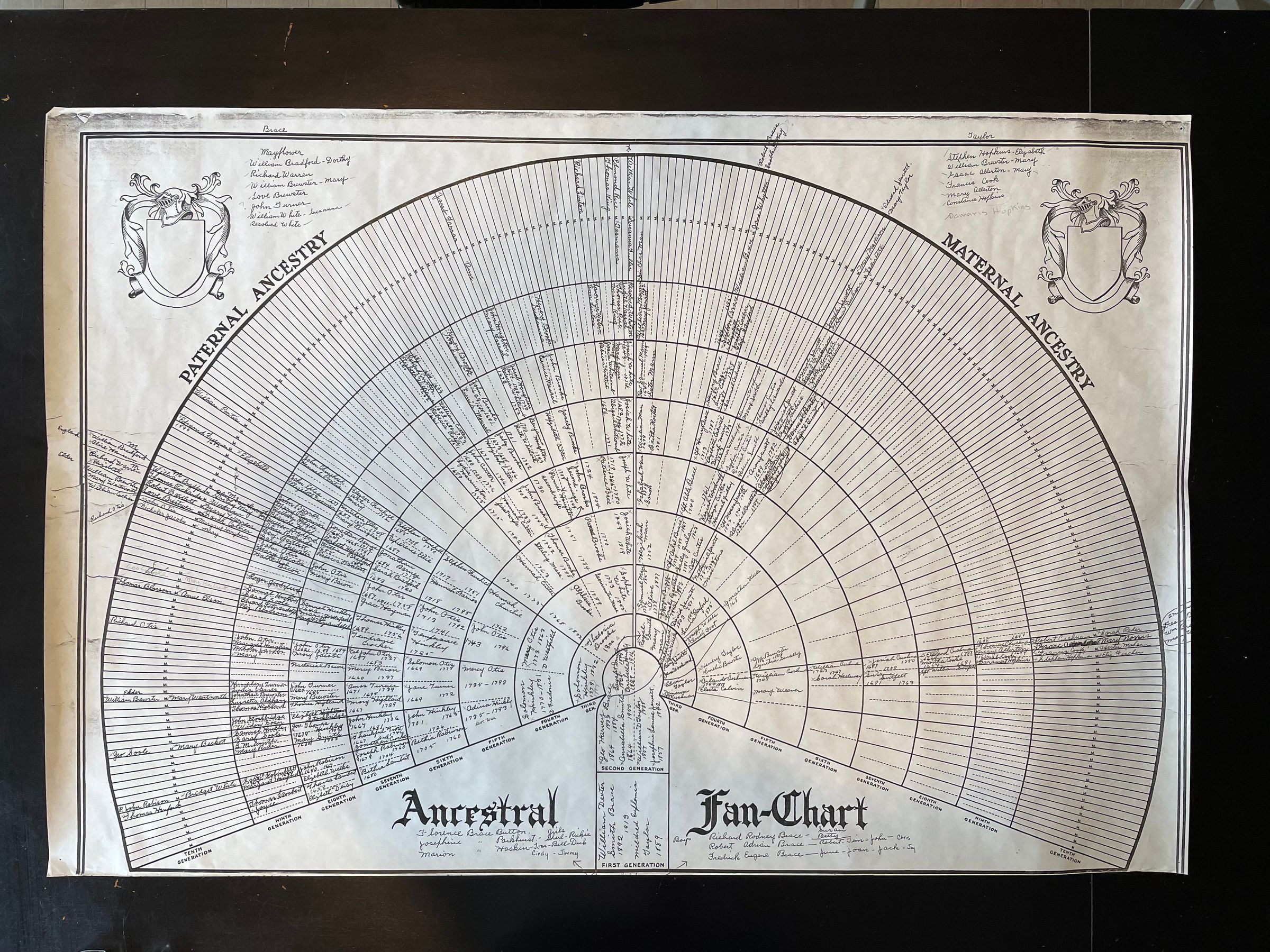 Brace-Taylor Family History hero image