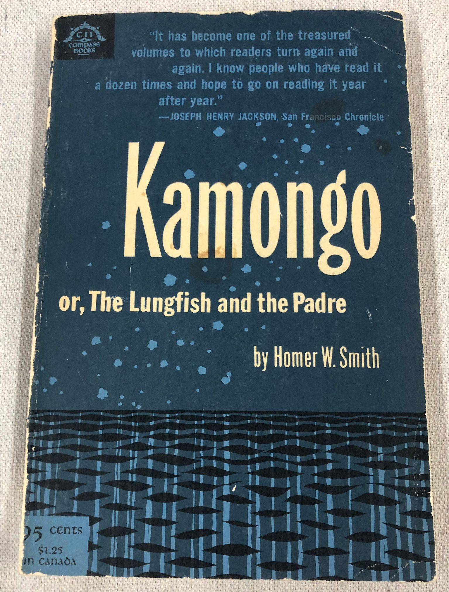 Late Cretaceous fossils