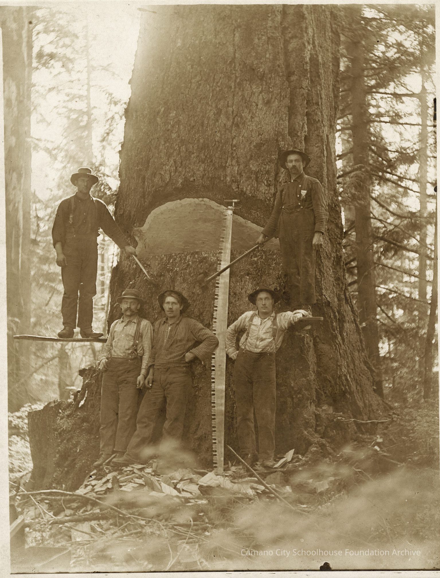 Logging