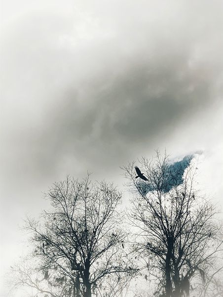 Art in City Spaces: Bodies of Water