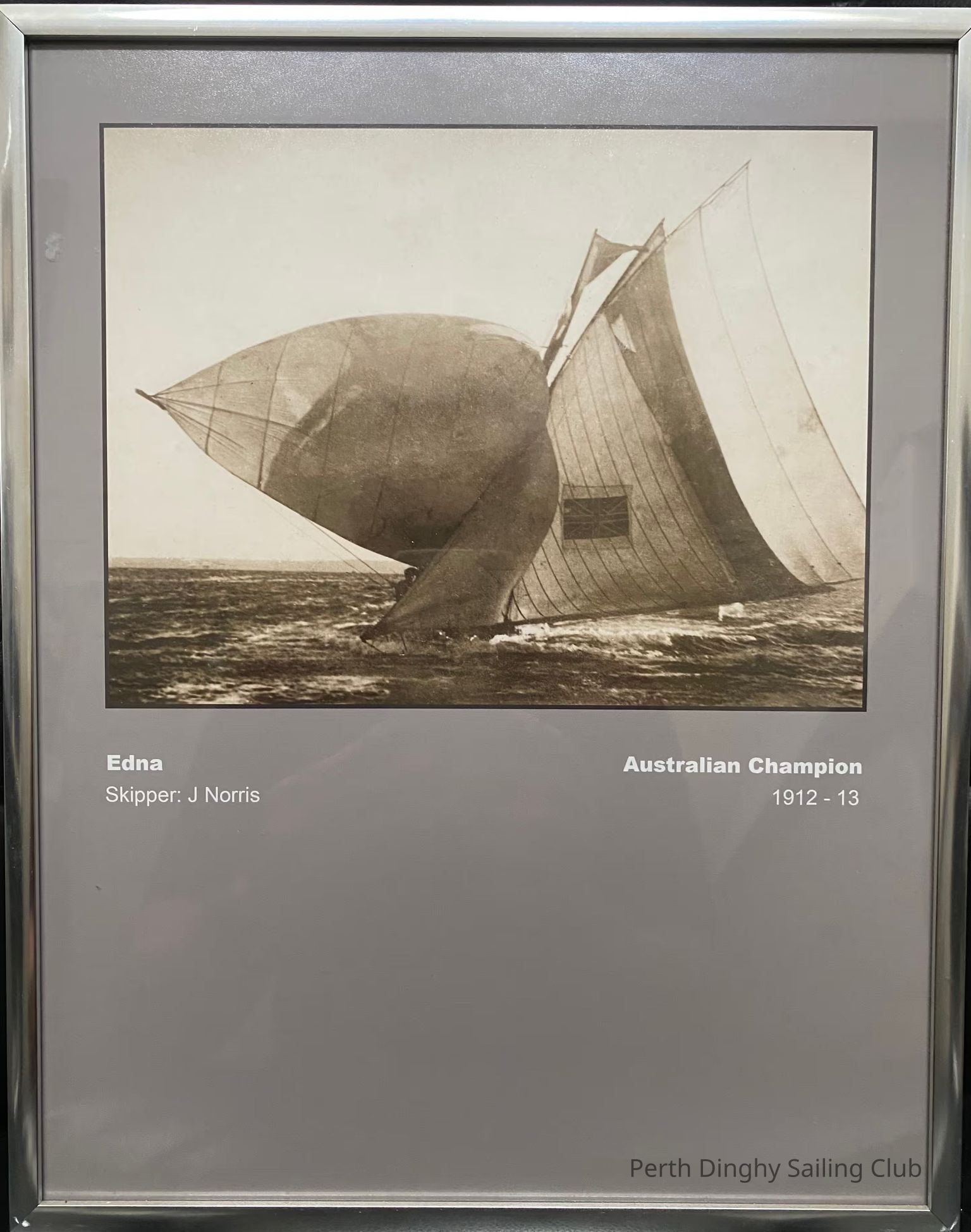 National & World Champion Photographs