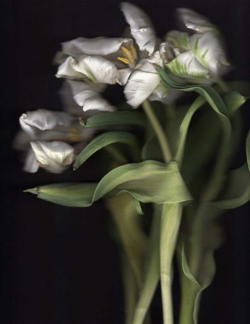 Rotating Exhibition; Light in the Winter