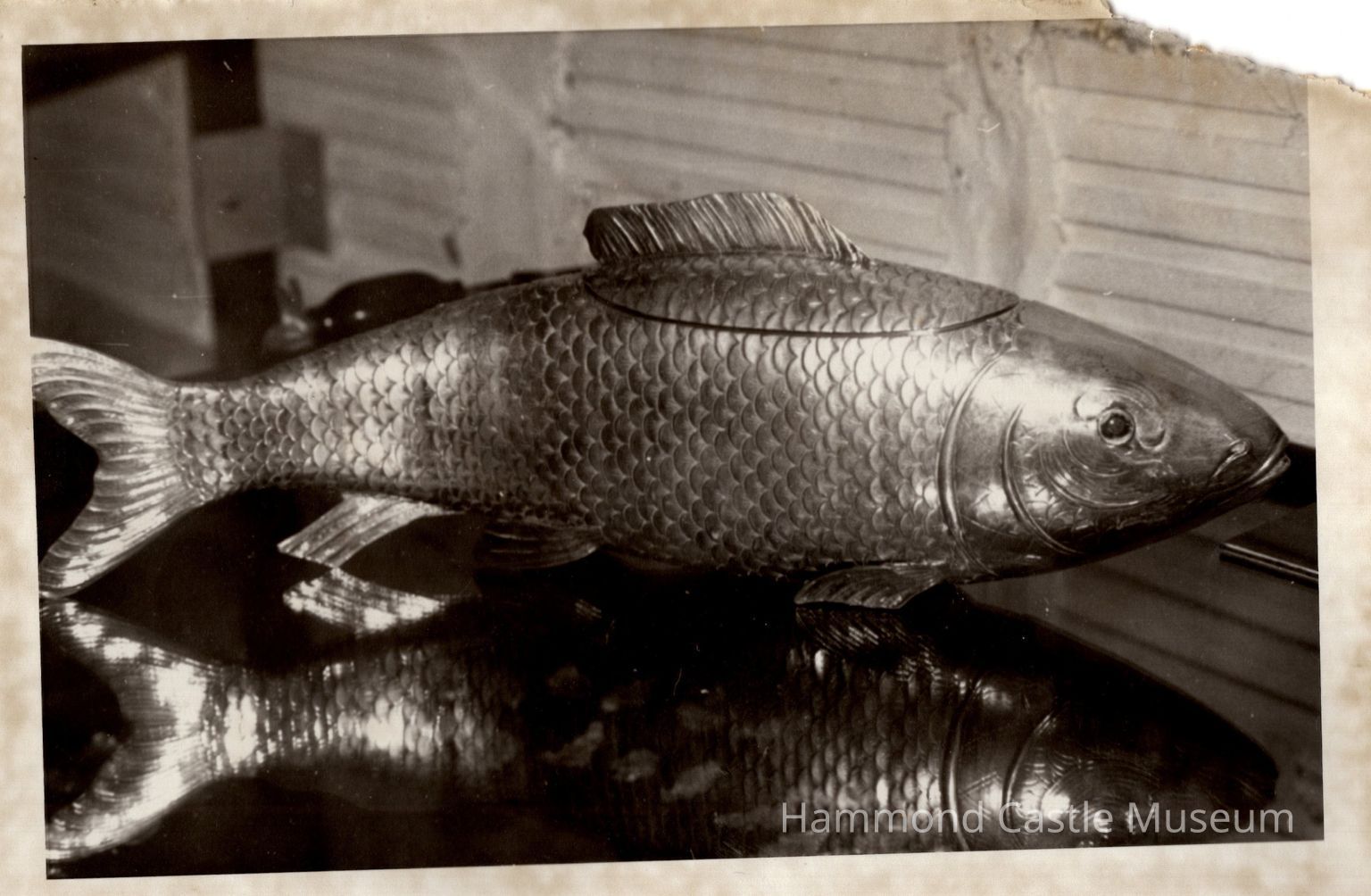 Cooking & Service Ware