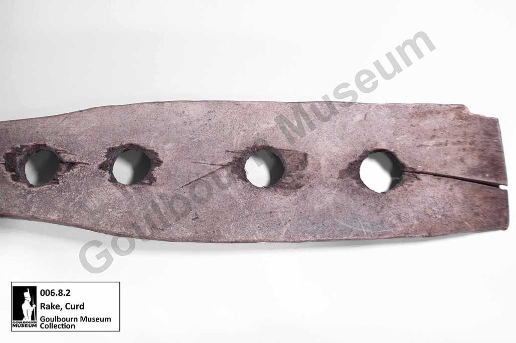 Food & Farming: Growing, Gathering & Preparing