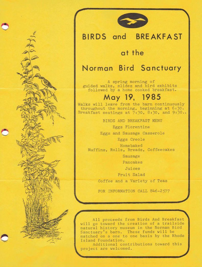 Norman Bird Flyers