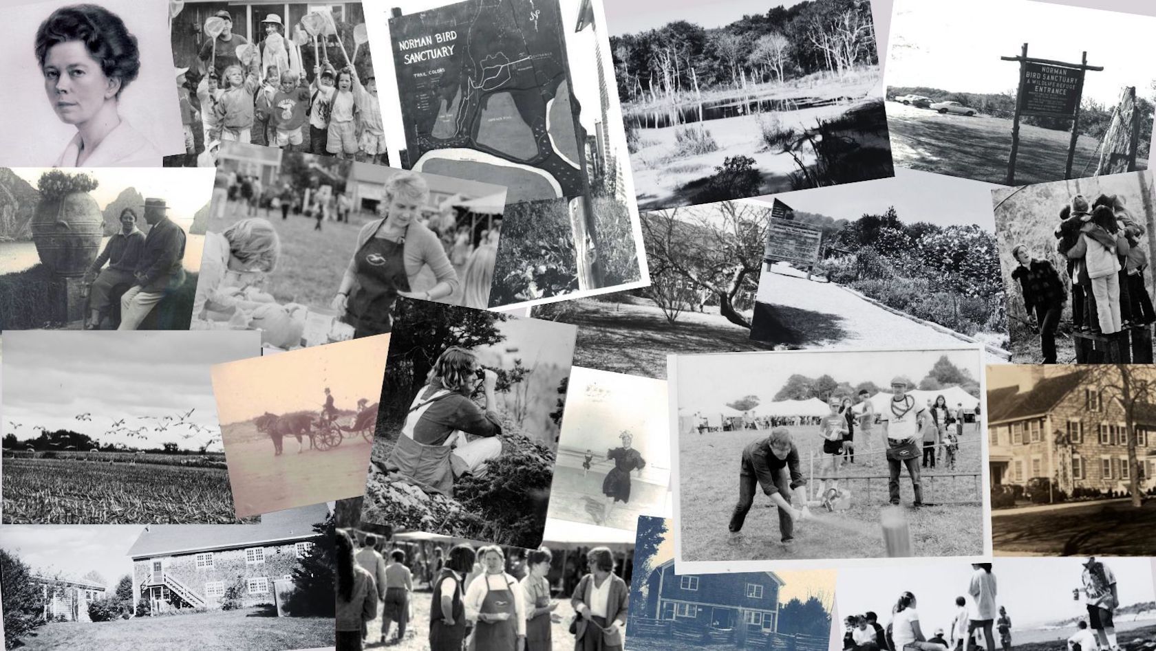 Norman Bird Sanctuary hero image