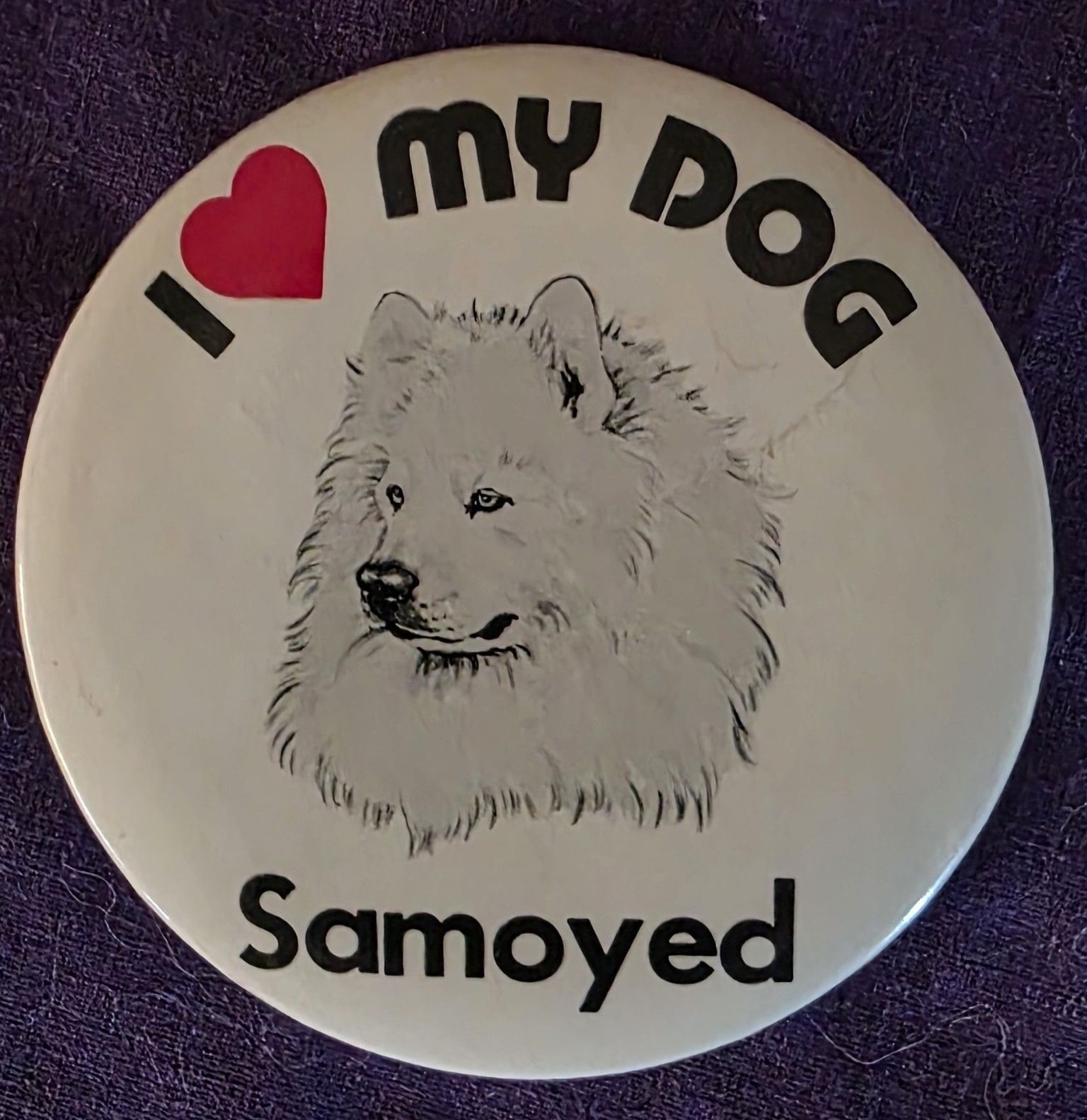 Collectible Dog Show Pins and Coins