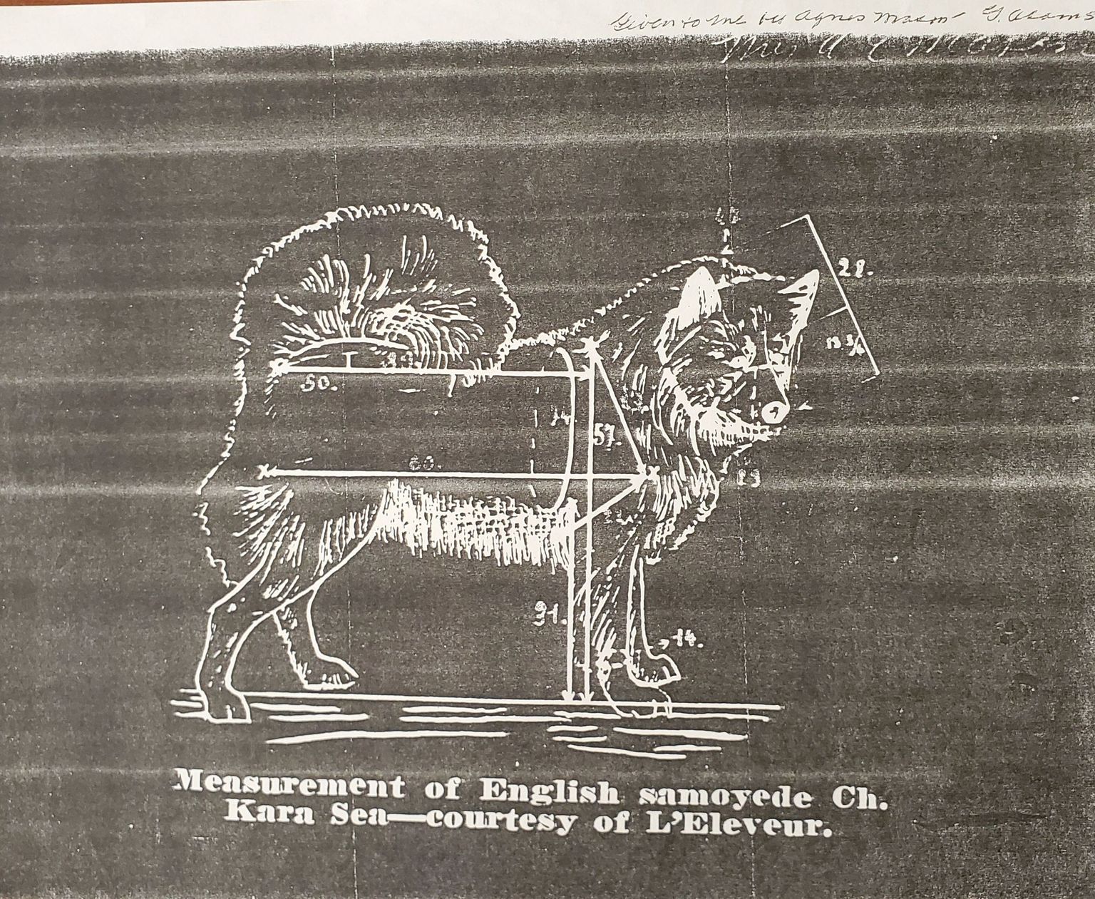 Adams, G. Illus Std