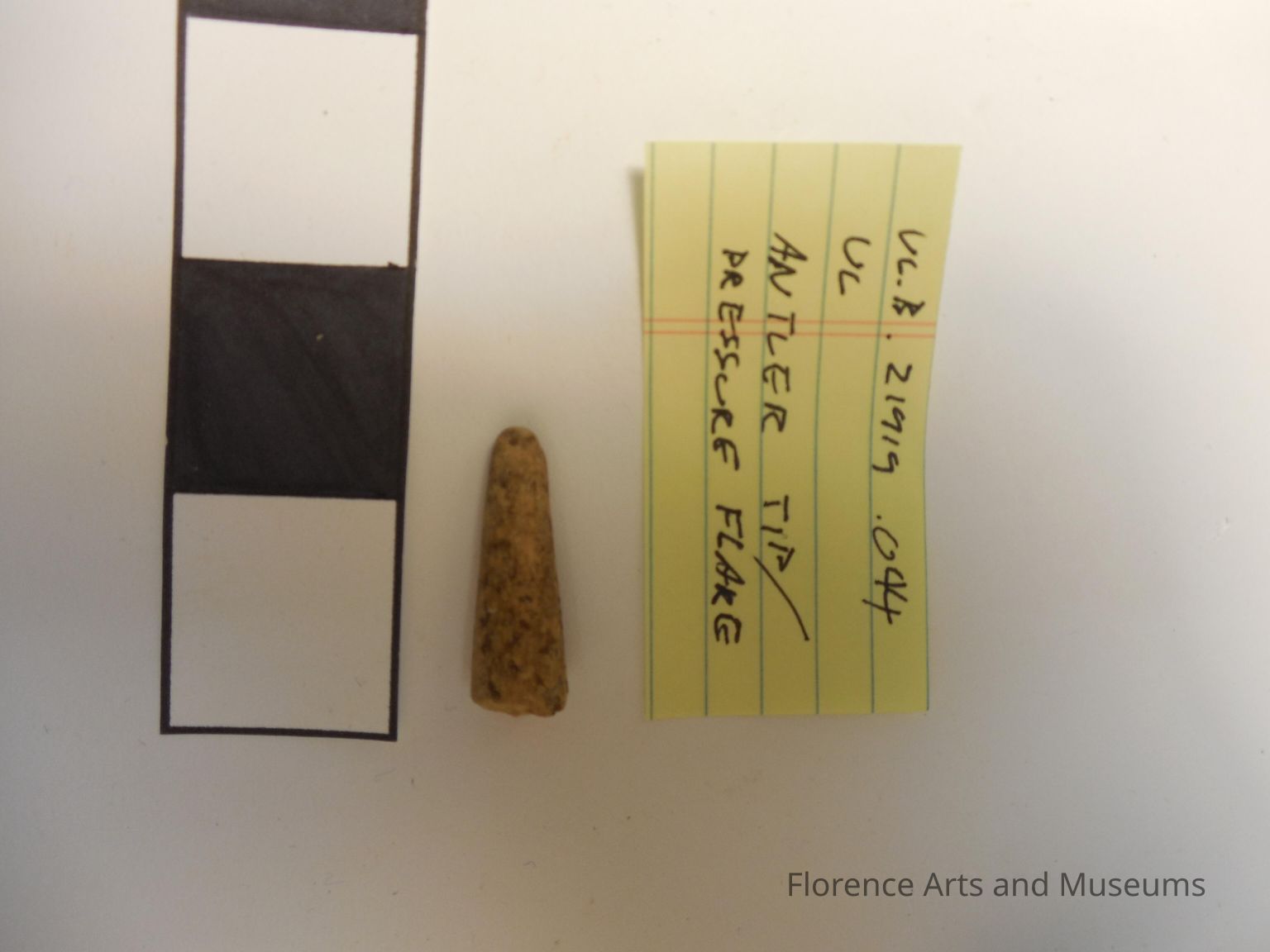 Bone Tools