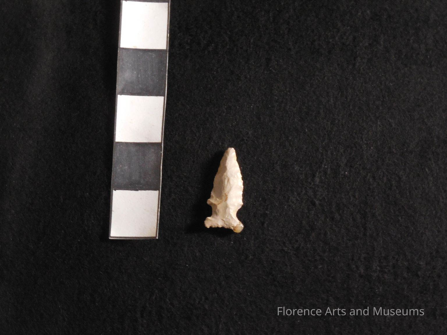 Early Archaic Projectile Points