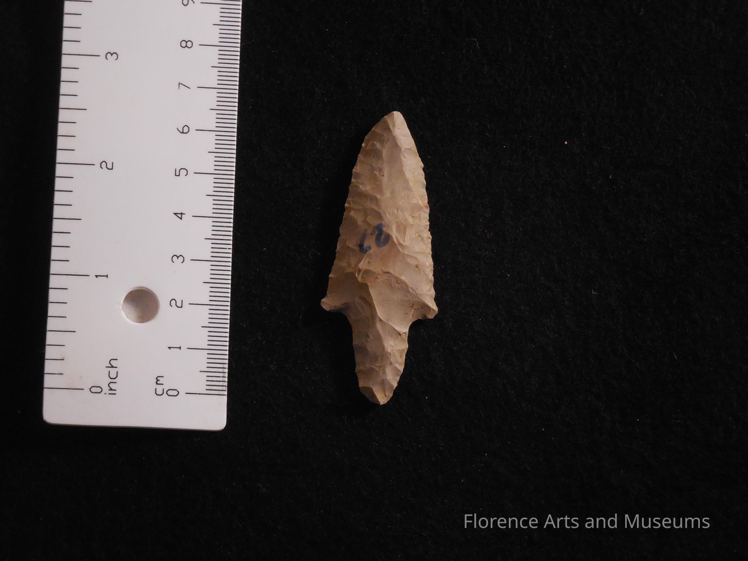 Late Archaic Projectile Points and Tools