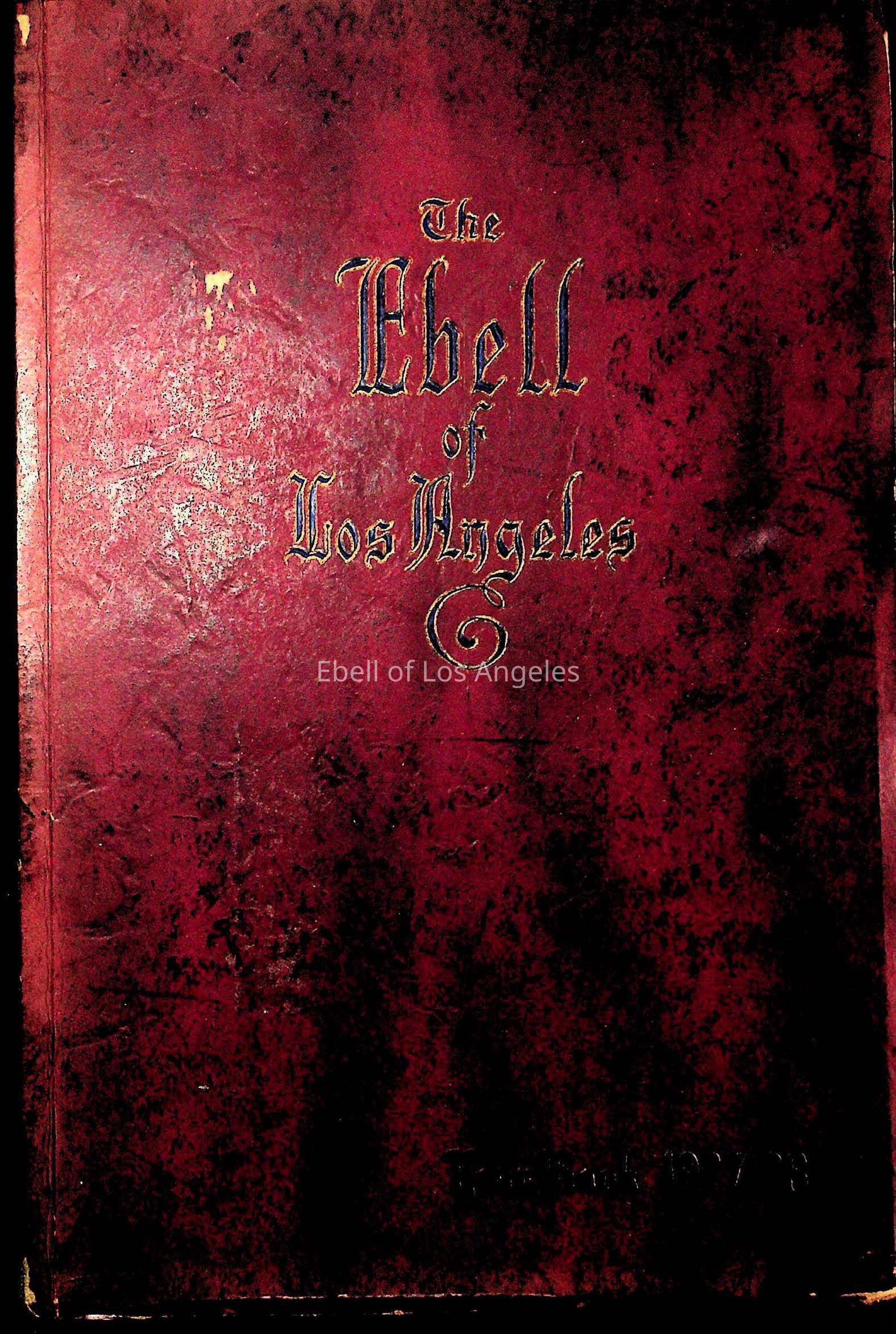 Click on Image to load PDF