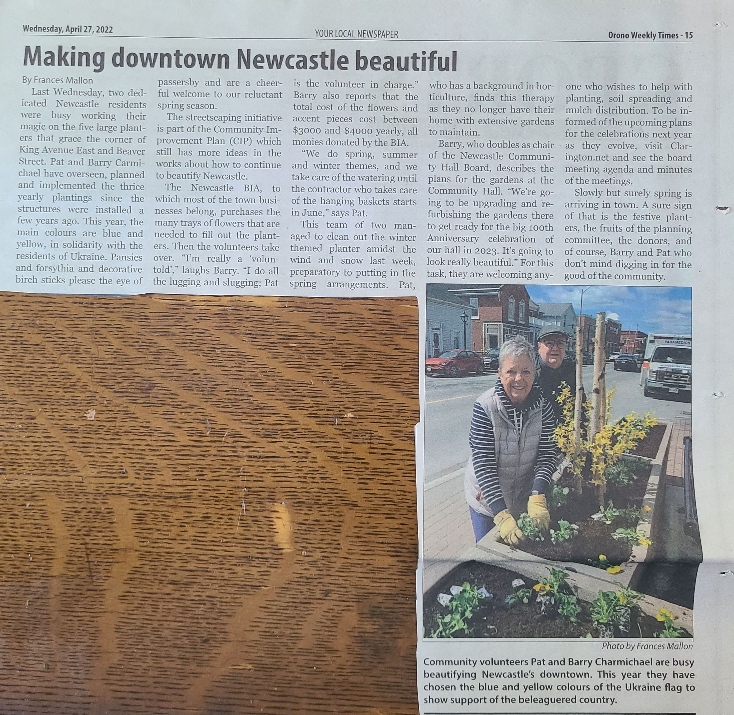 Pat and Barry Charmichael Planting Flowers in Downtown Newcastle, Wednesday, April 27th, 2022: The image shows a newspaper page featuring an article titled "Making downtown Newcastle beautiful," focused on volunteers Pat and Barry Charmichael beautifying Newcastle’s downtown with colorful plants symbolizing Ukrainian solidarity. They're smiling while working on a planter beside a street. The article discusses the community's efforts in maintaining attractive public spaces.