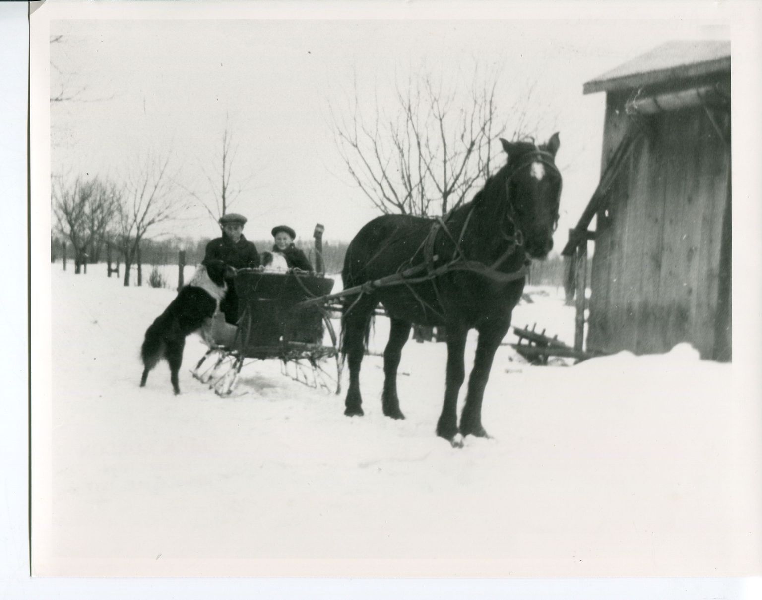 Winter Scenes