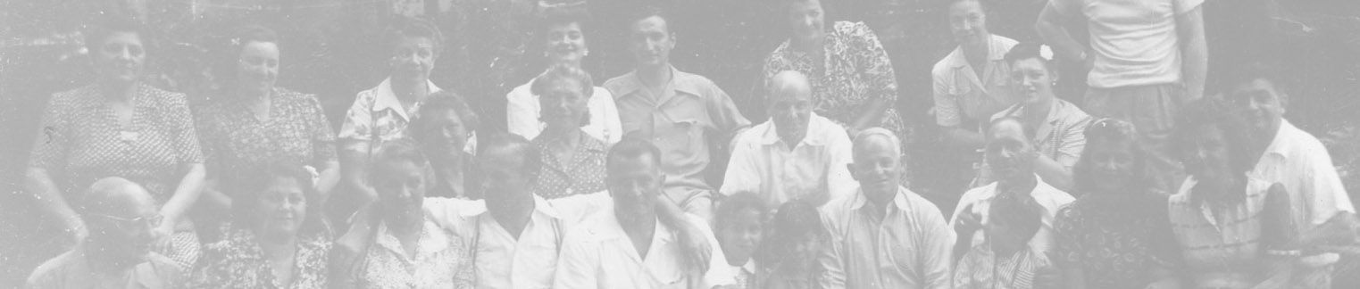 The Lubtz, Caiutz, Nowogrod & Bara Family History Archive Project hero image