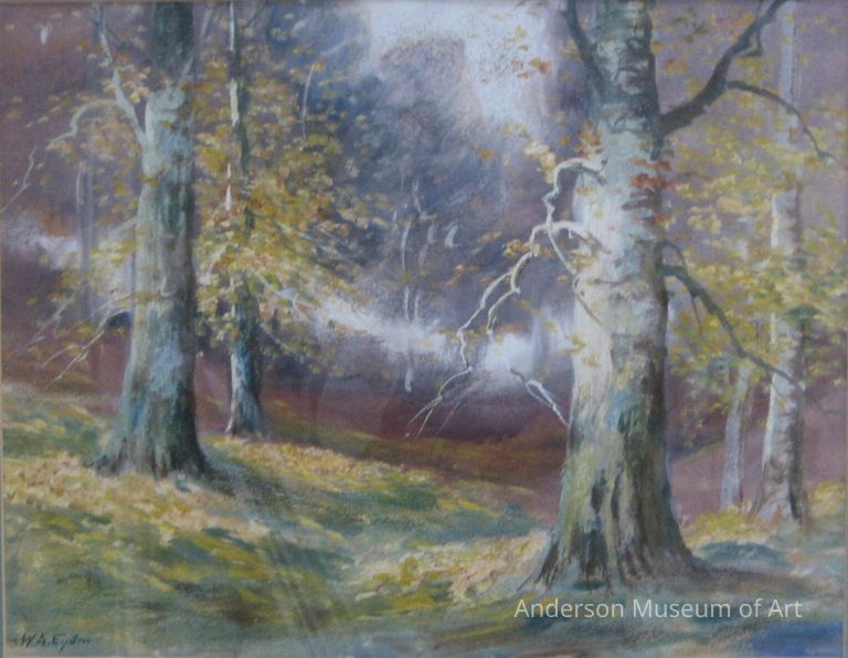 Beech Trees in Autumn picture number 1