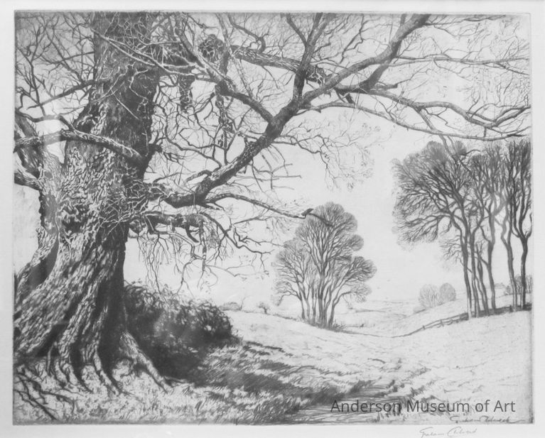 An English Oak picture number 1