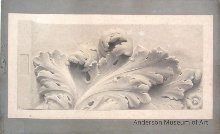          Untitled (Acanthus leaf) picture number 1
   