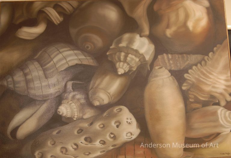          Shells picture number 1
   