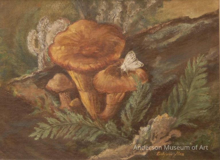          Gypsy Moth picture number 1
   