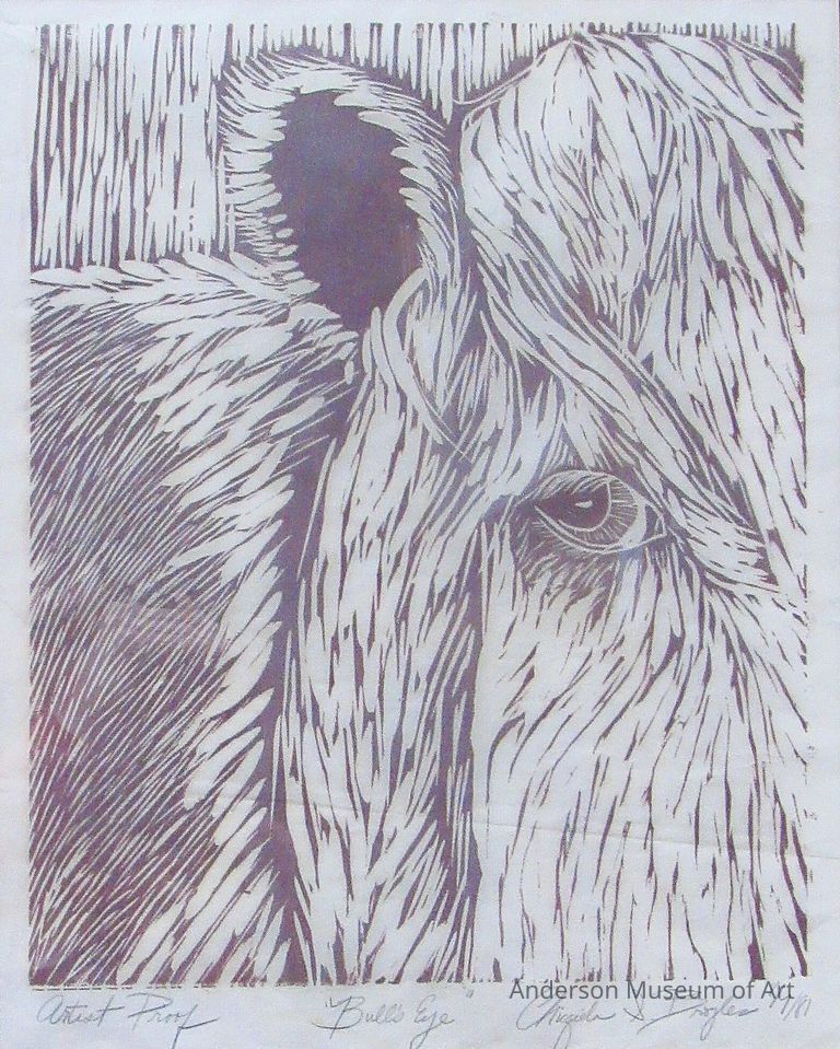          Bull's Eye picture number 1
   