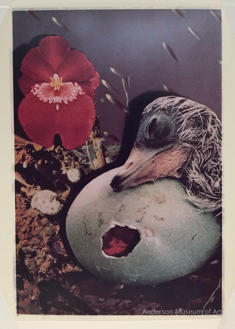          Untitled picture number 1
   