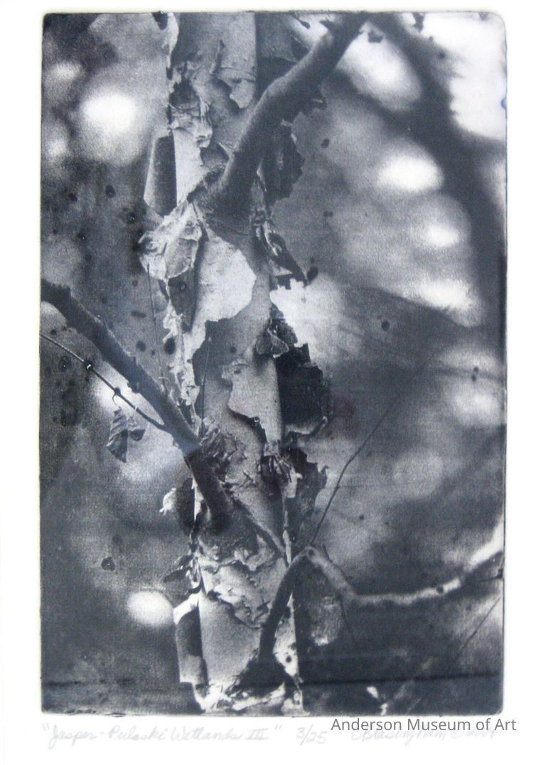          Jasper-Pulaski Wetlands III picture number 1
   