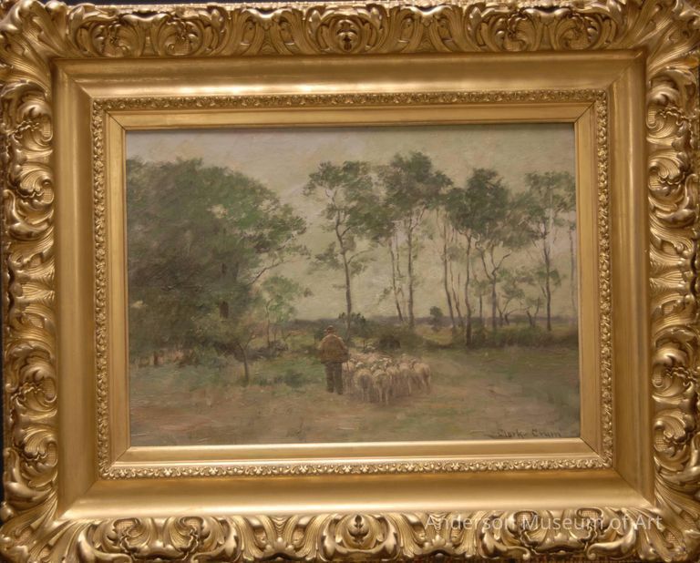          Sheep picture number 1
   