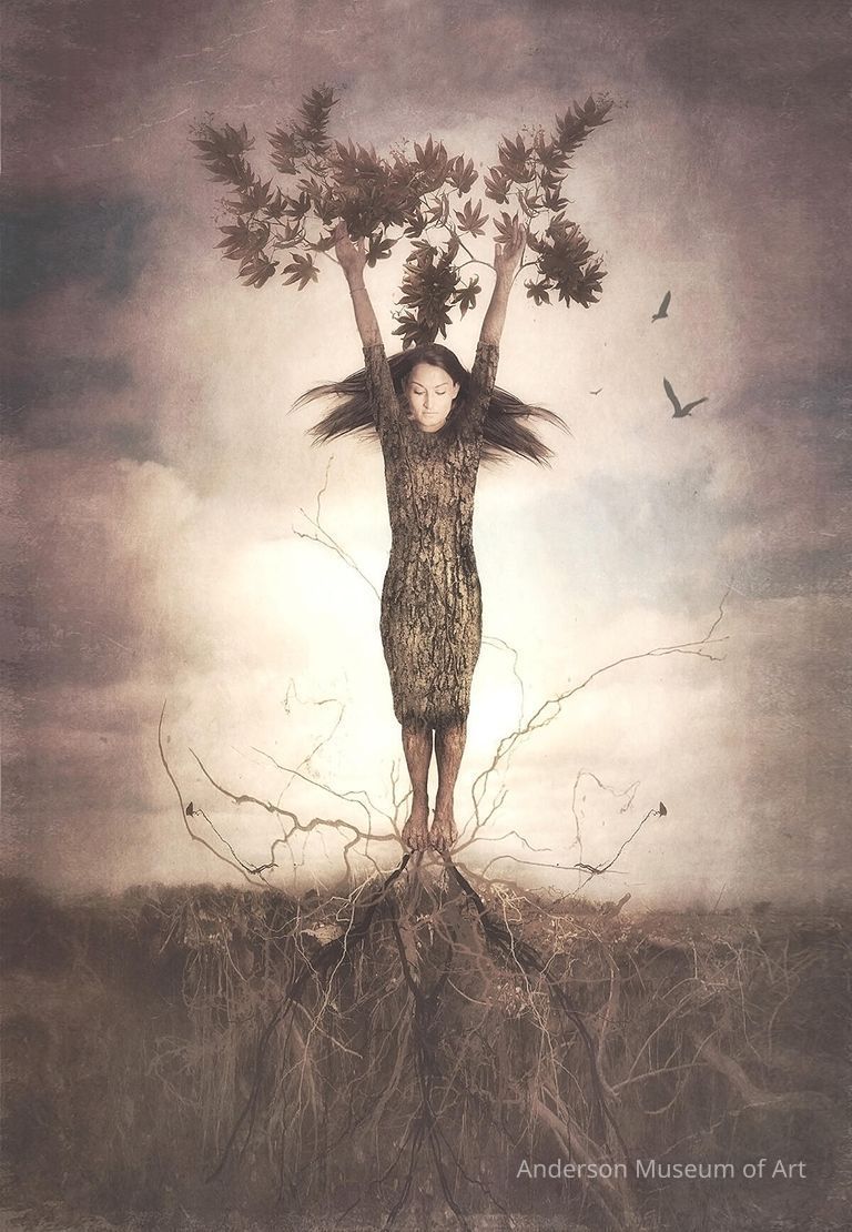          Putting Down Roots picture number 1
   