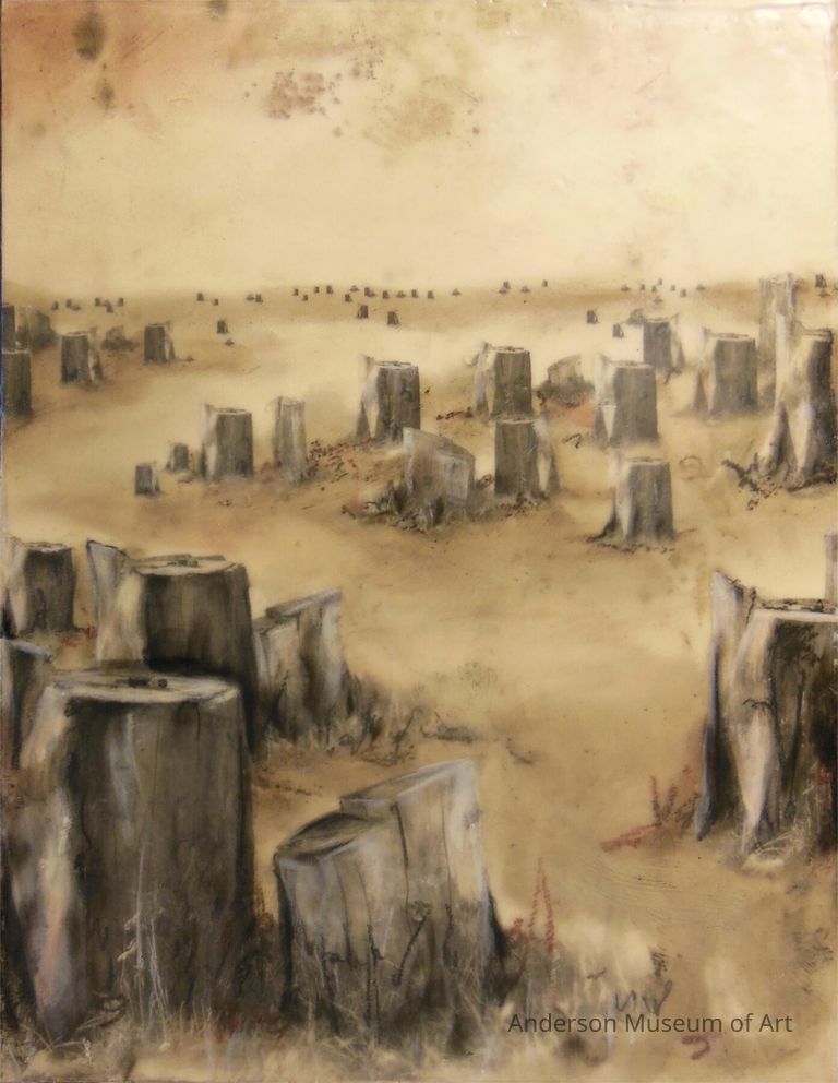          The Problem Here is Clear Cut picture number 1
   