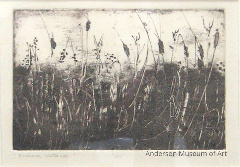          Indiana Wetlands picture number 1
   