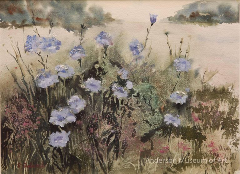          Cornflowers picture number 1
   