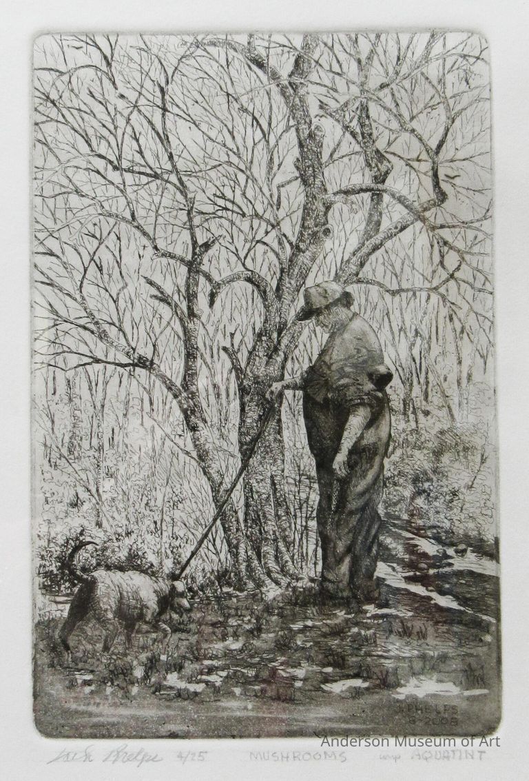          Mashrooms picture number 1
   