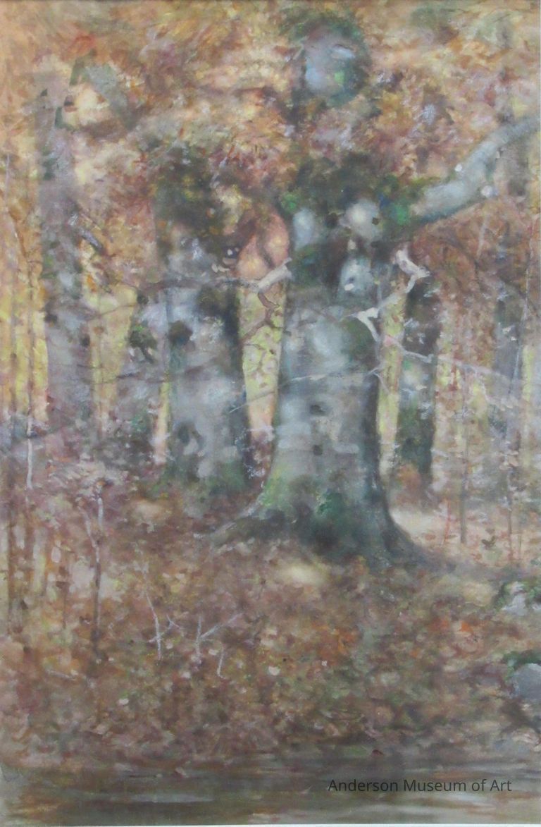 Beech Trees in Autumn picture number 1