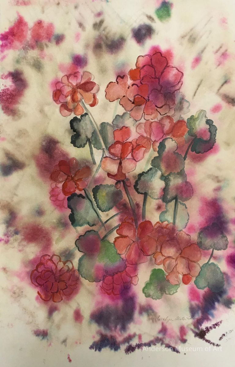          Geraniums picture number 1
   